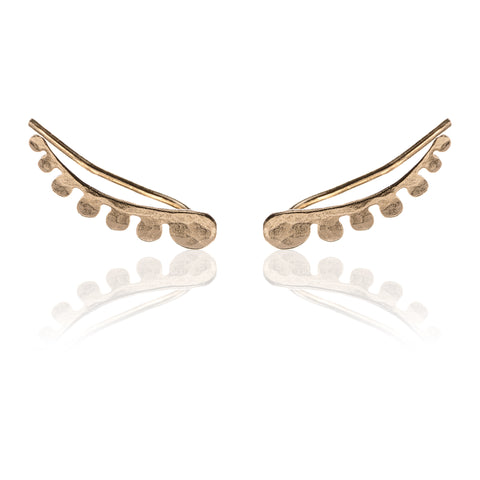 Wings Climbing Earrings