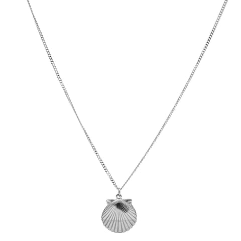 L shell Pendant & Thick Necklace