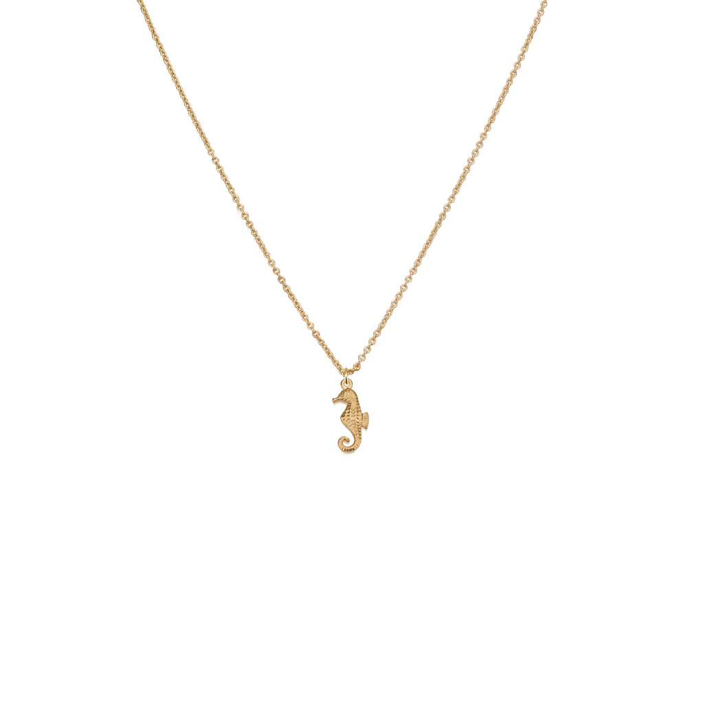 Necklaces - Small Sea Horse Pendant & Helen Chain Necklace