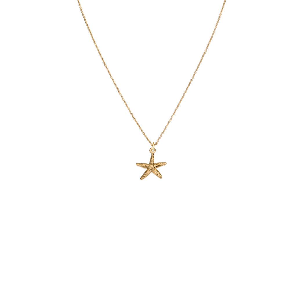 Necklaces - Starfish Pendant & Helen Chain Necklace